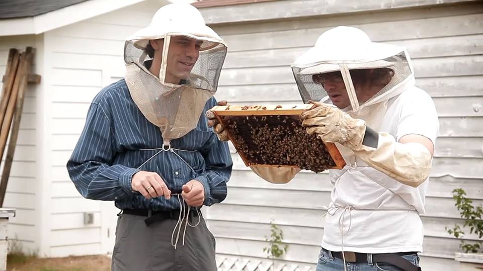 The secret life of honeybees